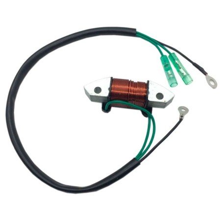 Bobina de Carga para Motor Fueraborda Yamaha 66T-85533-00