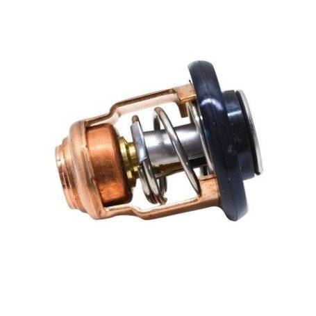 Termostato 50C 6E5-12411-30-00