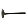 Valve,intake Original Suzuki 12911-88L00-000