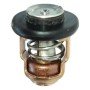 Termostato 6AH-12411-00