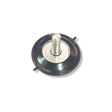 Diafragma 66M-24411-10