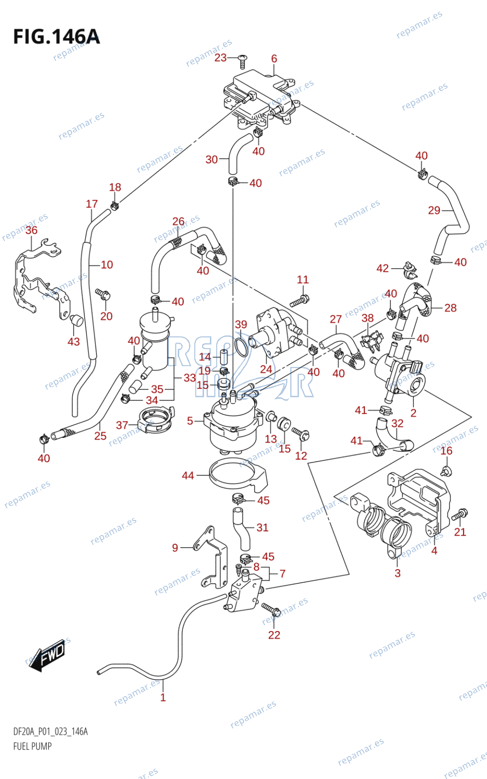 146A - BOMBA INYECCION (P01)