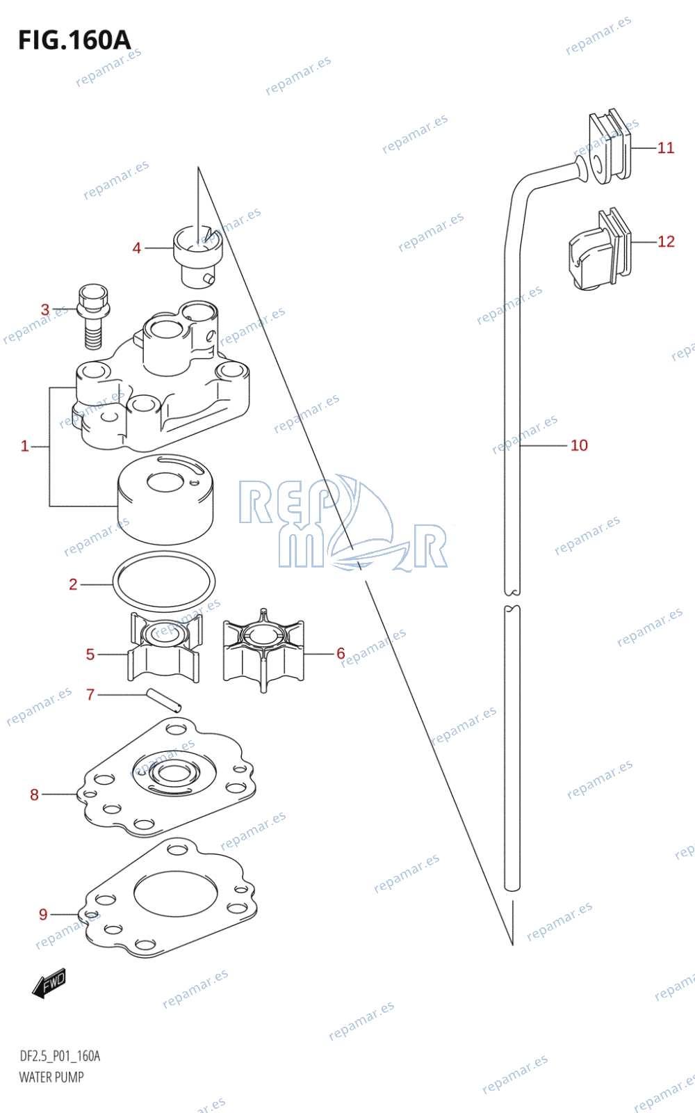 160A - WATER PUMP