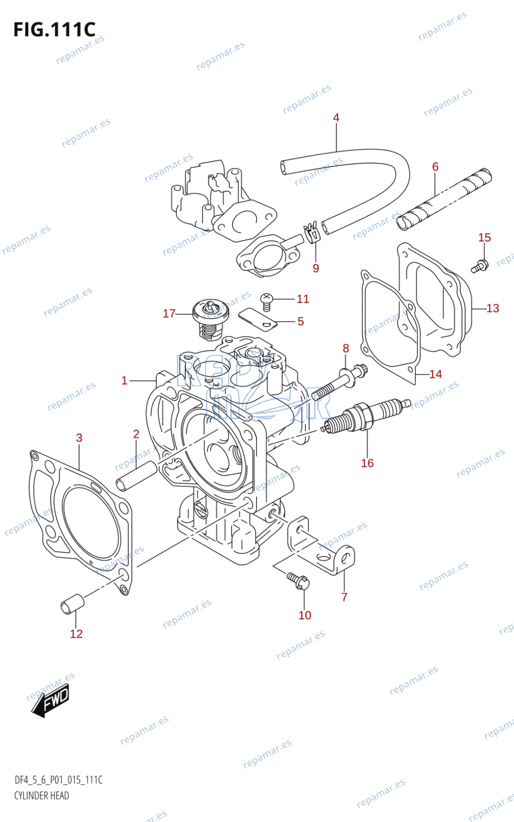 111C - CYLINDER HEAD (DF6:P01)