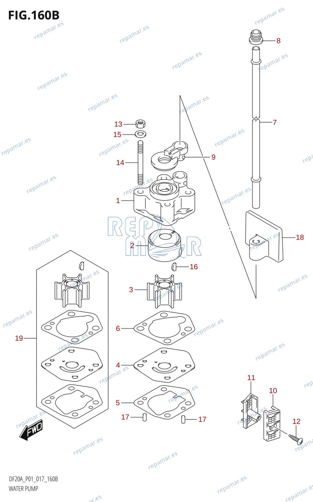 160B - WATER PUMP (DF9.9BR:P01)