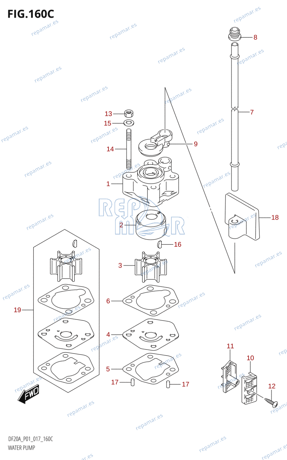 160C - WATER PUMP (DF9.9BT:P01)
